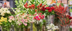 vente Fleuriste Paris 17eme Arrondissement