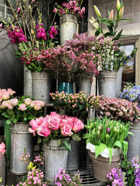 vente Fleuriste Paris 17eme Arrondissement - Photo 6
