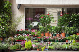 vente Fleuriste Paris 17eme Arrondissement