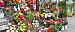 vente Fleuriste Paris 17eme Arrondissement