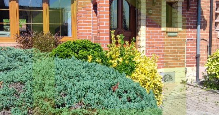 vente Maison Vieux Conde