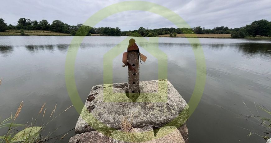 vente Etang Chenerailles