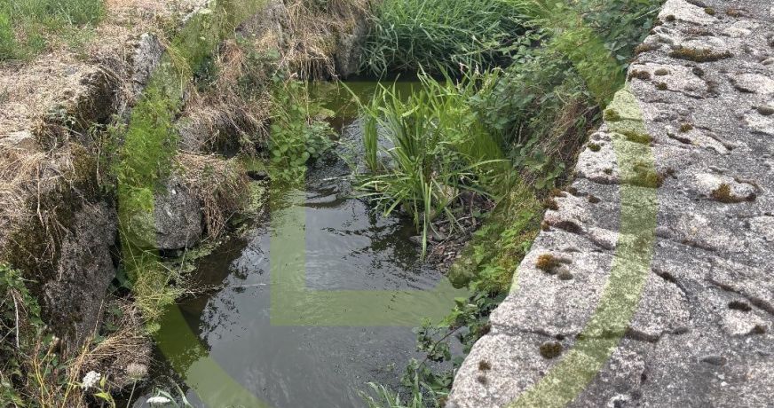 vente Etang Chenerailles