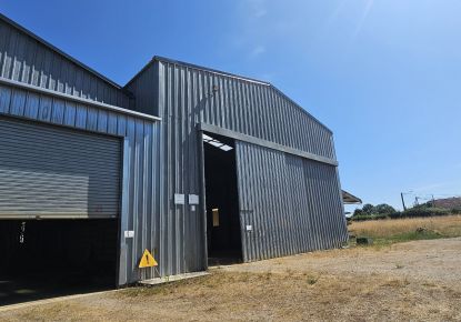 vente Entrepots et bureaux Le Pechereau