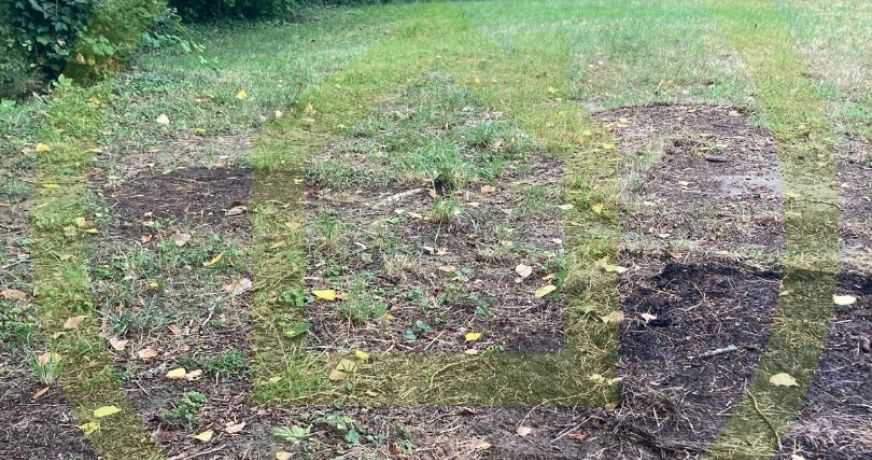 vente Maison individuelle Saintry Sur Seine