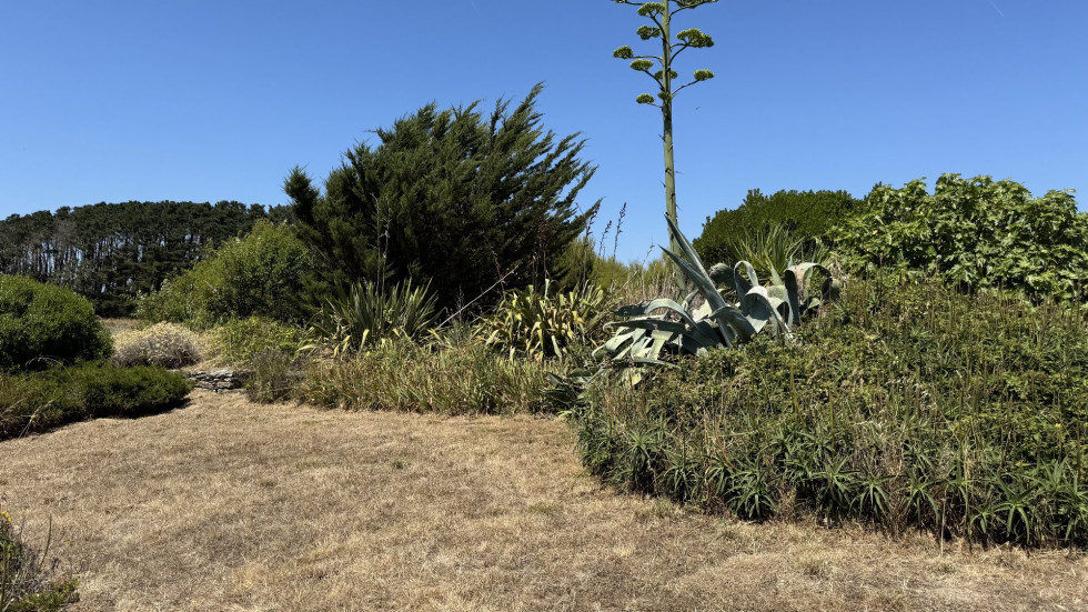 vente Maison Sauzon - Photo 3