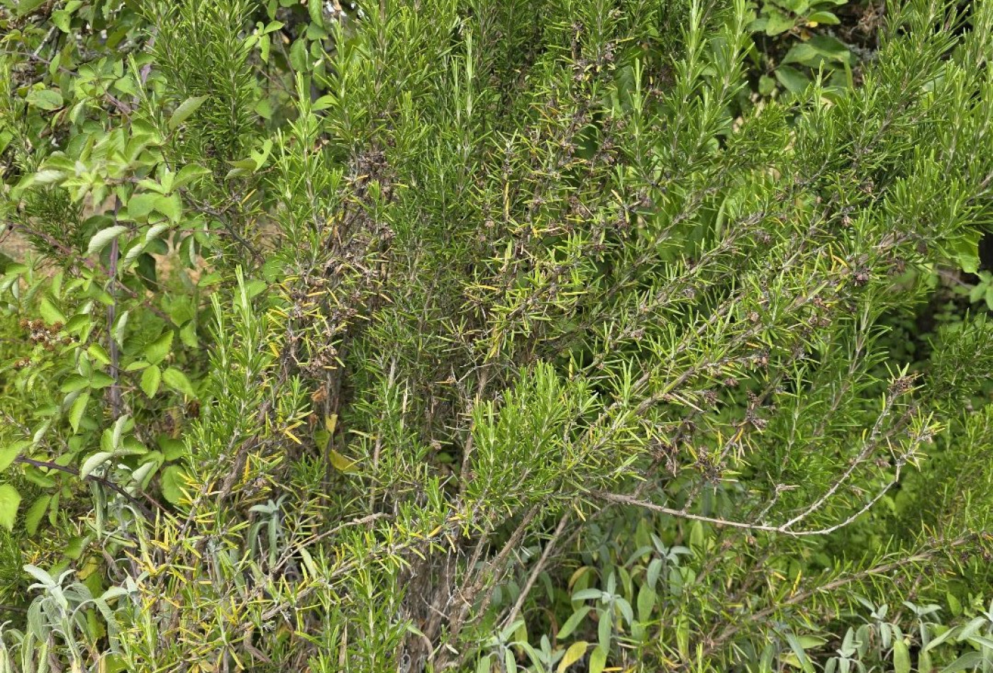 vente Terrain Argenton Sur Creuse - Photo 3