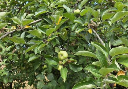 vente Terrain Argenton Sur Creuse