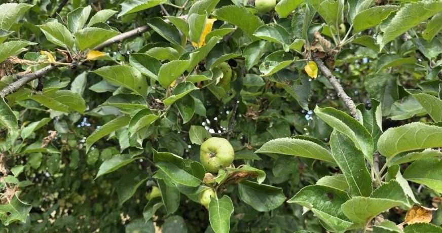 vente Terrain Argenton Sur Creuse