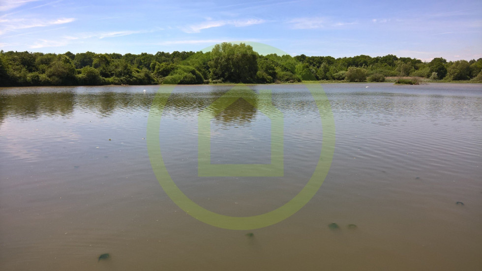 vente Terrain Navilly - Photo 5