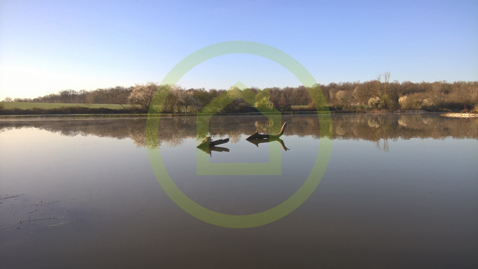 vente Terrain Navilly - Photo 3