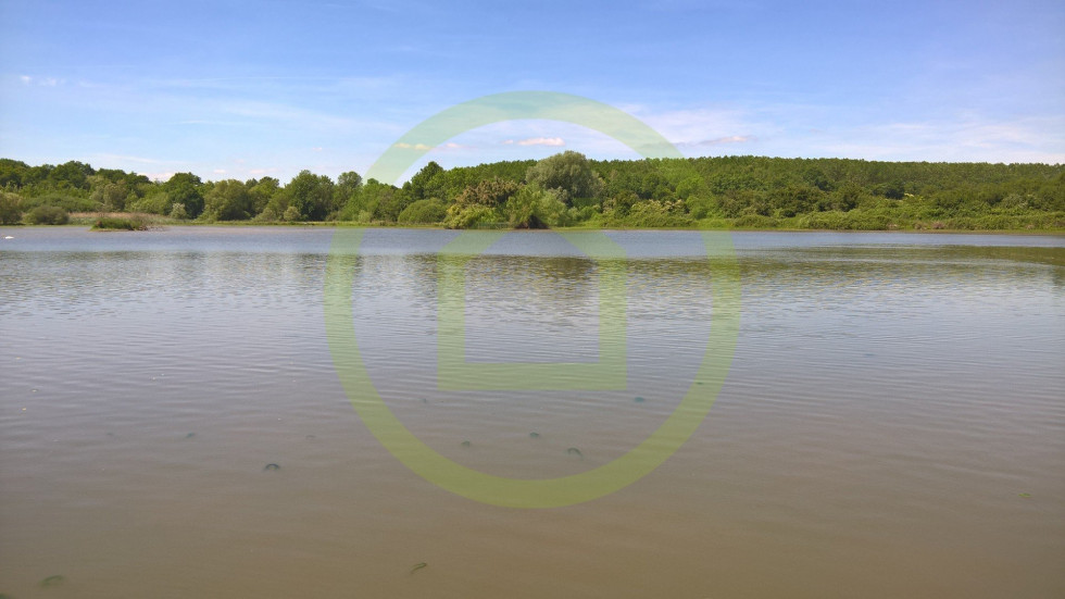 vente Terrain Navilly - Photo 6