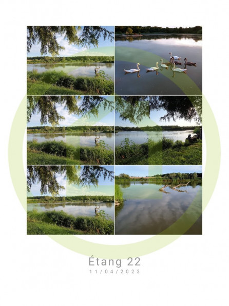 vente Terrain Navilly - Photo 10