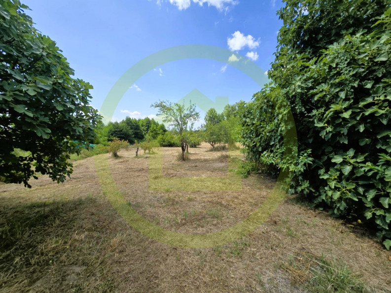 vente Maison Saint Bonnet Sur Gironde - Photo 10