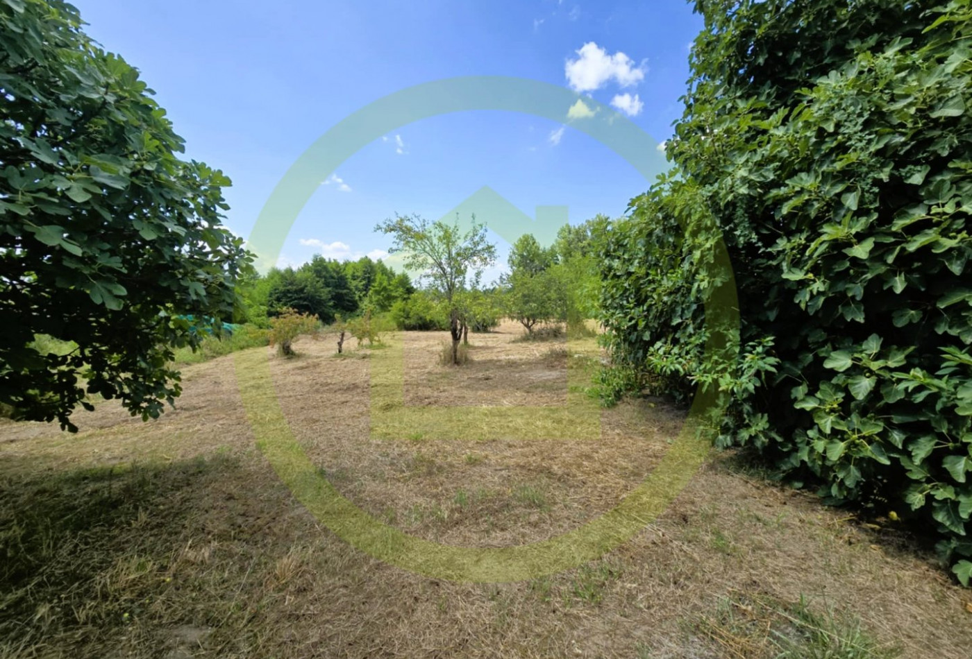 vente Maison Saint Bonnet Sur Gironde - Photo 10