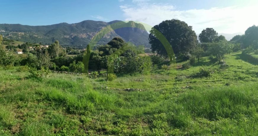 vente Terrain Alata