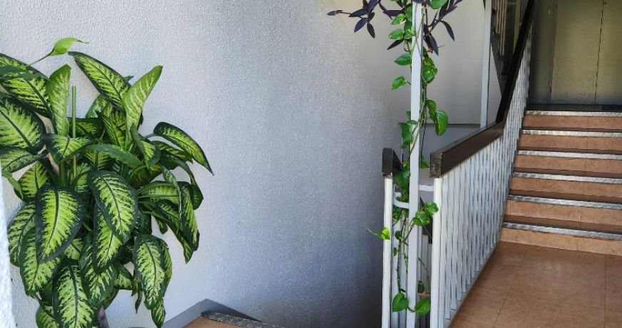 vente Appartement La Roche Sur Foron