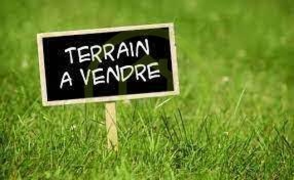 vente Terrain Saint Bonnet Sur Gironde - Photo 2
