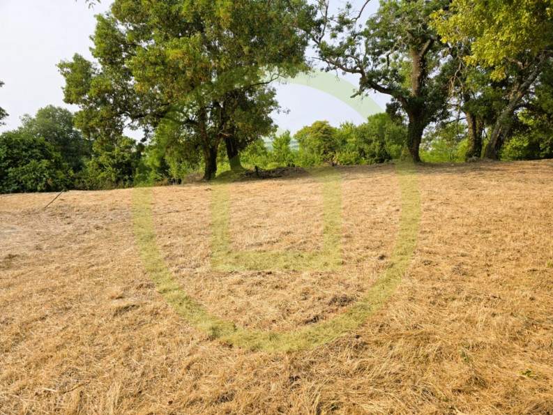 vente Terrain Saint Bonnet Sur Gironde - Photo 1