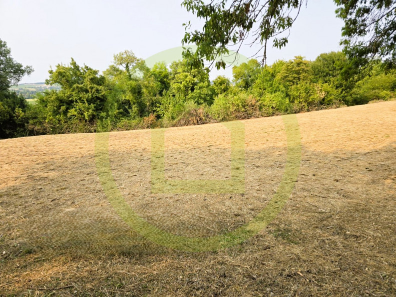 vente Terrain Saint Bonnet Sur Gironde - Photo 3