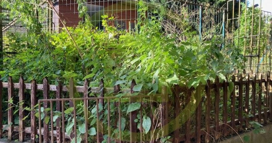 vente Maison Bachant