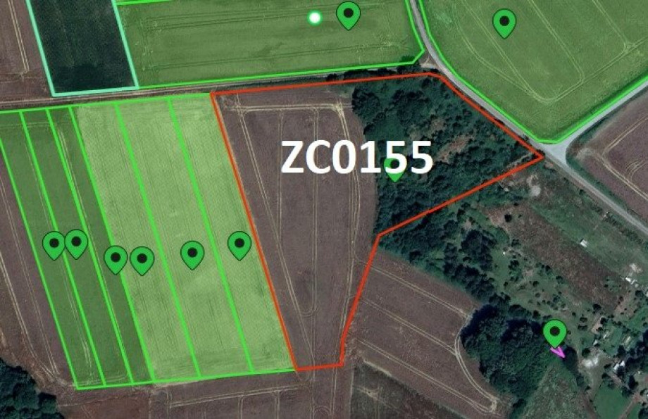 vente Terrain agricole Porcaro - Photo 2