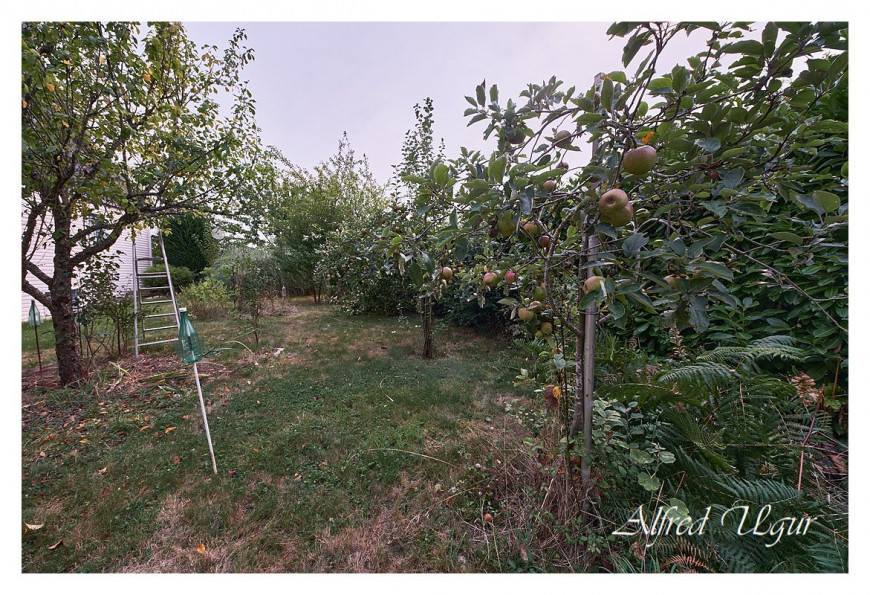 vente Maison Sainte Marie - Photo 4