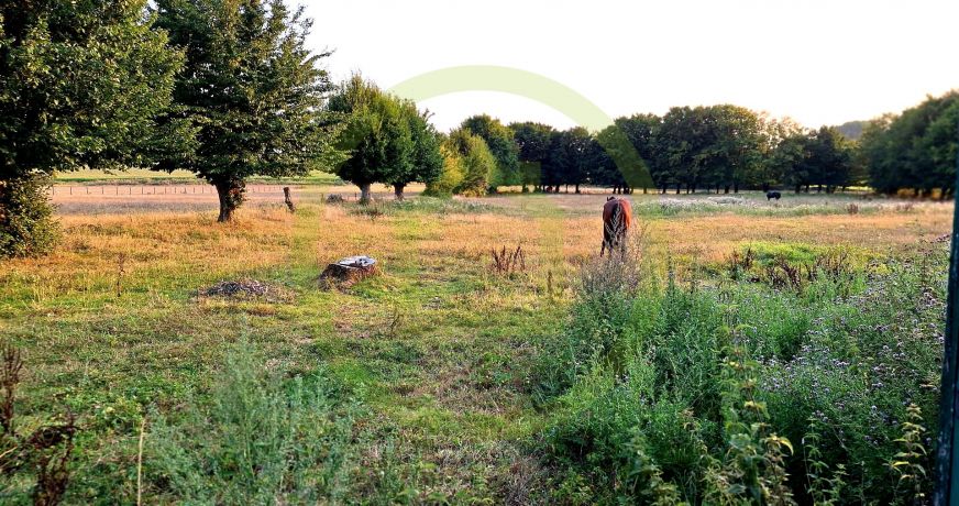 vente Maison La Flamengrie