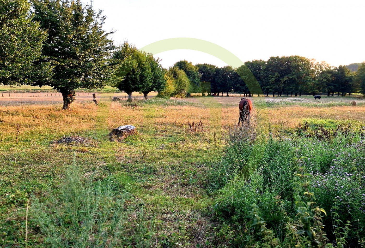 vente Maison La Flamengrie - Photo 2