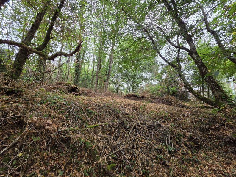 vente Maison Bazaiges - Photo 2