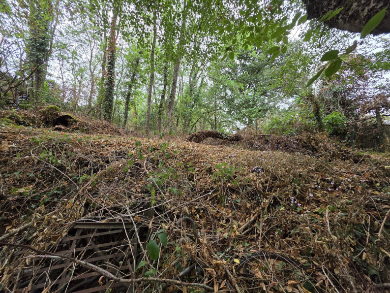 vente Maison Bazaiges - Photo 9