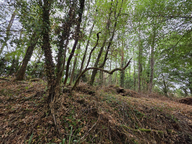 vente Maison Bazaiges - Photo 5