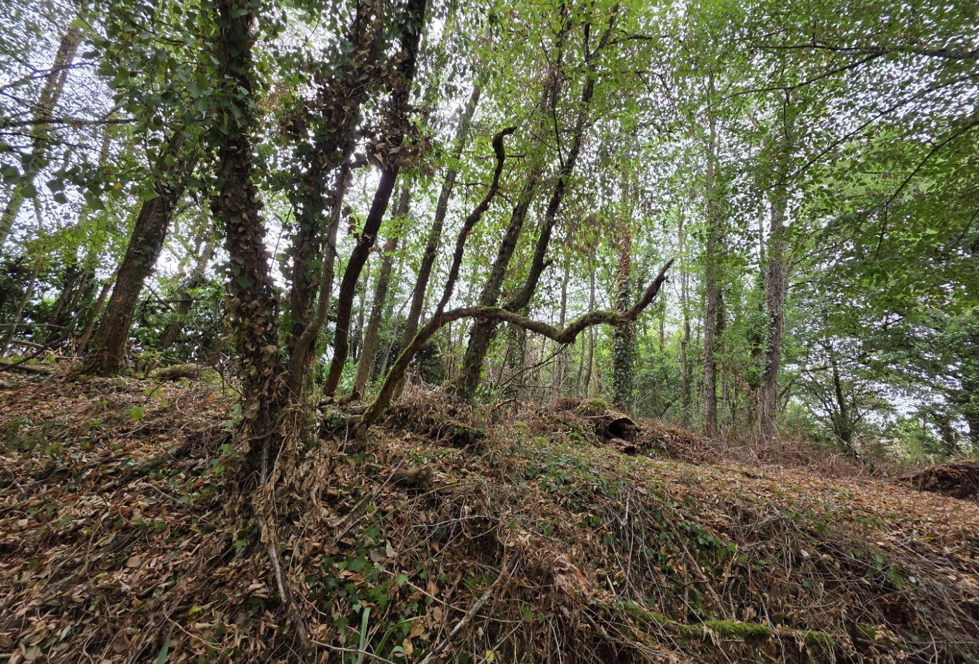 vente Maison Bazaiges - Photo 6