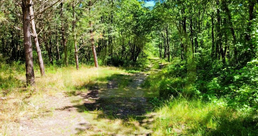 vente Maison Etauliers