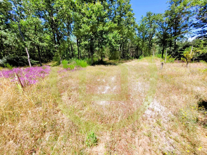 vente Maison Etauliers - Photo 2