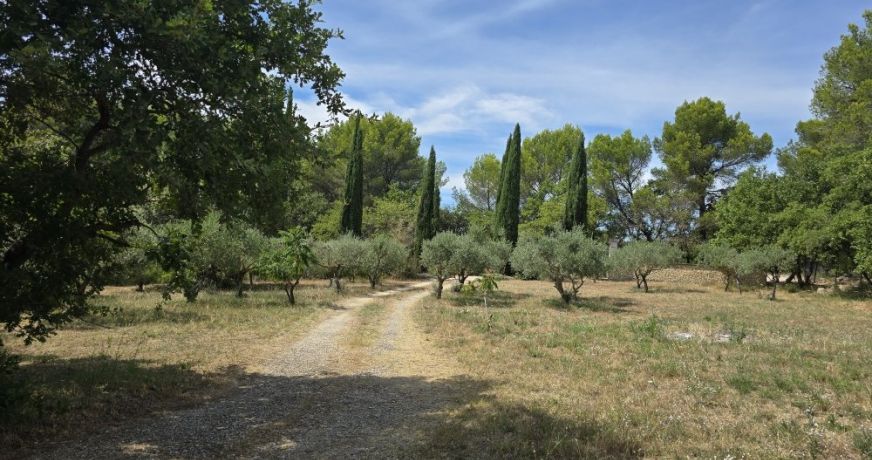 vente Maison Velleron