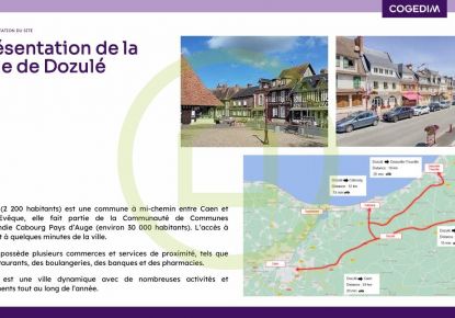 vente Local commercial Dozule