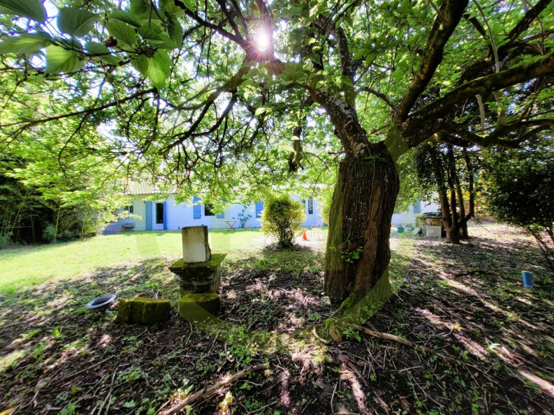 vente Maison Saint Dizant Du Gua - Photo 4