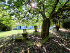 vente Maison Saint Dizant Du Gua