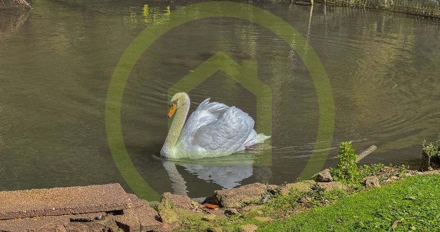 vente Maison Lacroix Sur Meuse