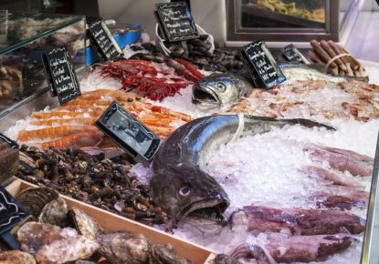 vente Poissonnerie Cannes