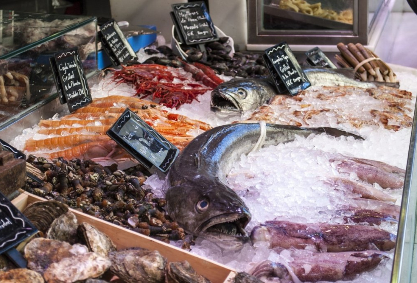 vente Poissonnerie Cannes - Photo 1