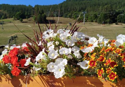 vente Hôtel restaurant Allos