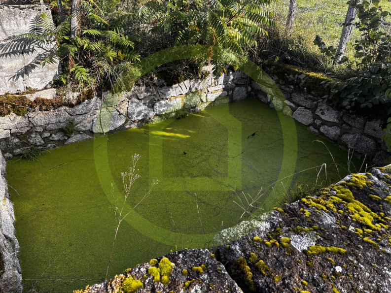vente Propriété Issoudun Letrieix - Photo 7
