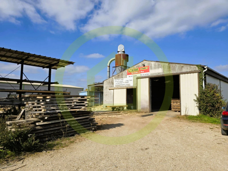 vente Bâtiment Celles Sur Belle - Photo 8