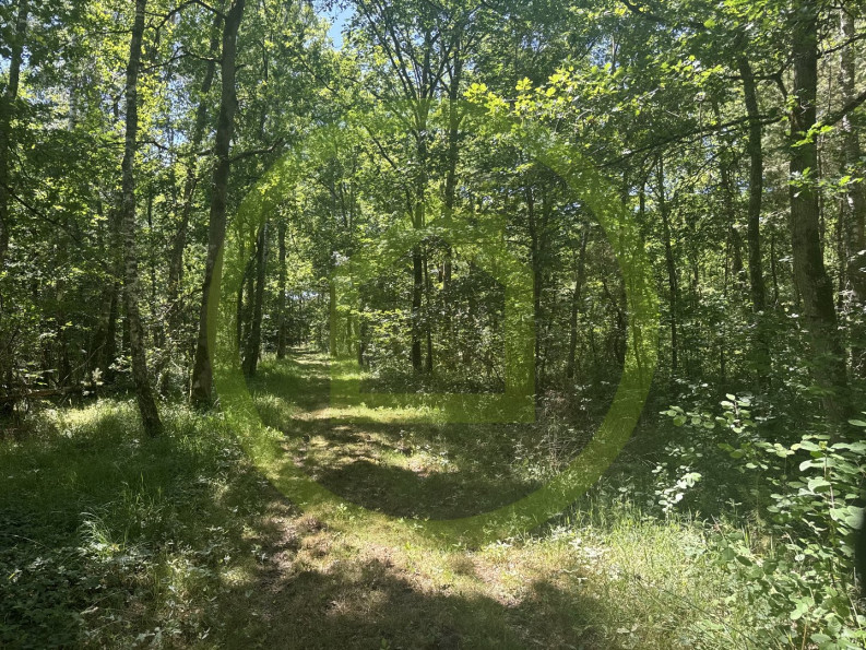vente Propriété La Ferte Saint Aubin - Photo 10