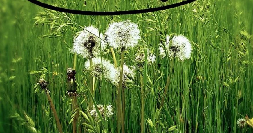 vente Terrain en lotissement Aubignosc