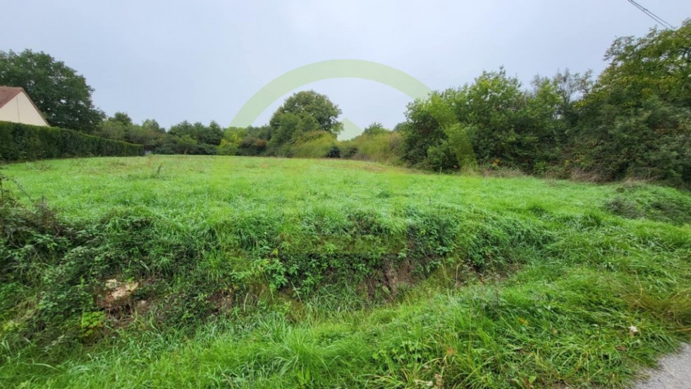 vente Terrain Le Blanc - Photo 5