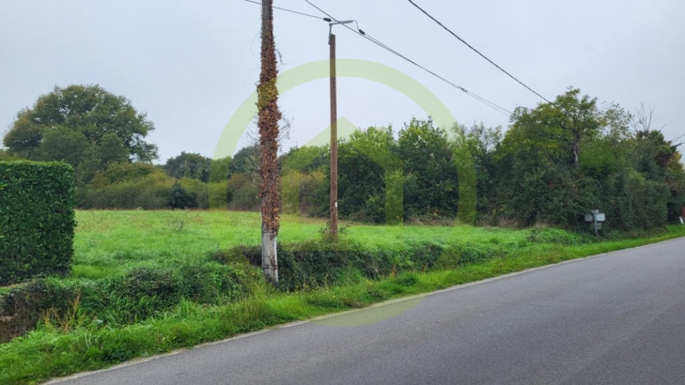 vente Terrain Le Blanc - Photo 6