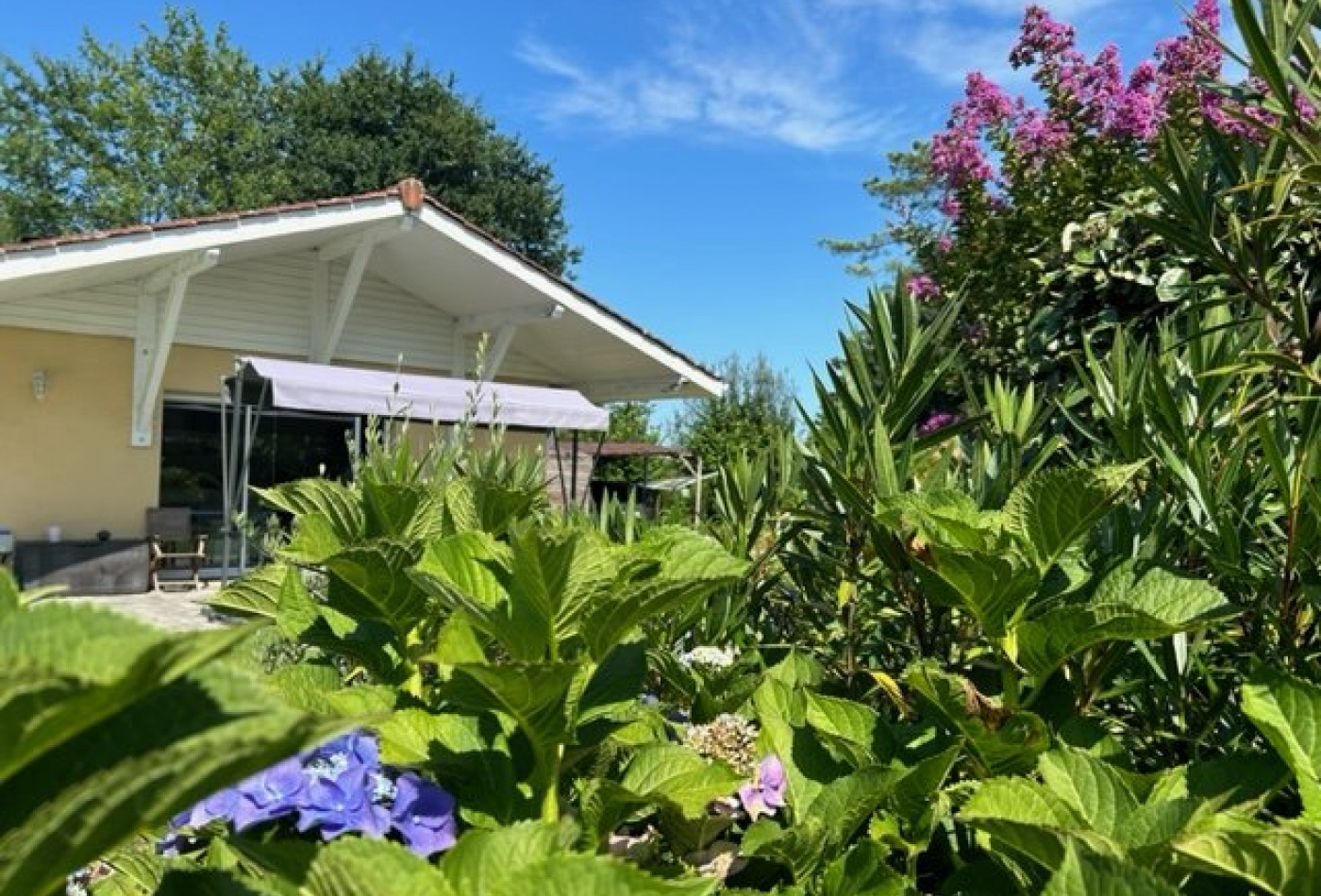 vente Maison Sainte Eulalie En Born - Photo 8